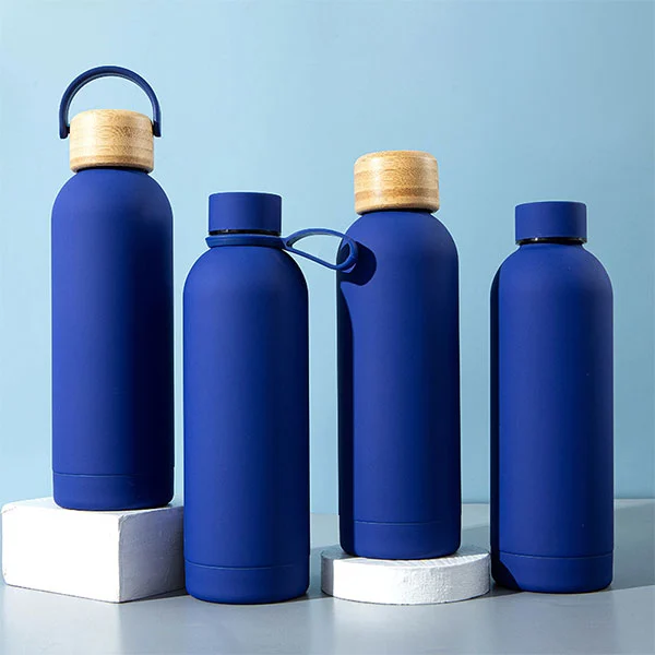 Warum sollten Sie sich für einen doppelwandigen Fitness-Staubsauger für Fitness, Reisen und die tägliche Flüssigkeitszufuhr entscheiden?